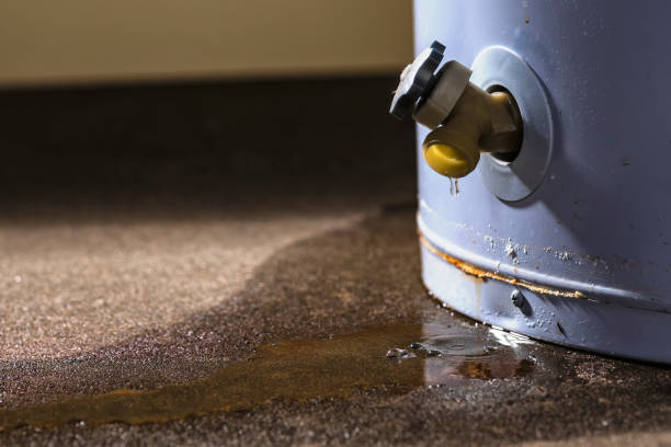 Best Water damage cleanup near me  in Lewistown, PA