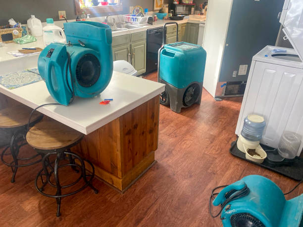 Best Ceiling water damage repair  in Lewistown, PA