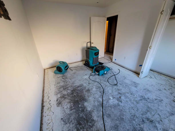 Best Water damage restoration cost  in Lewistown, PA