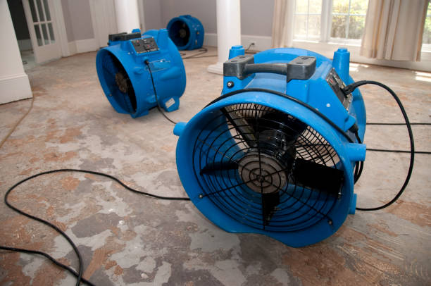 Best Flood damage cleanup  in Lewistown, PA