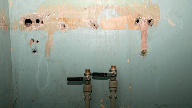Best Water damage restoration near me  in Lewistown, PA