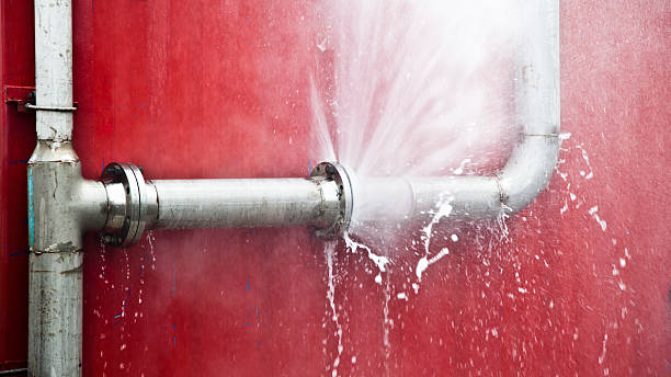 Best Professional water damage repair  in Lewistown, PA